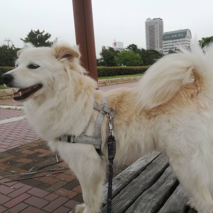 47154ca6 18d2 4dcf aaff bfd0124418f6 1527335640477