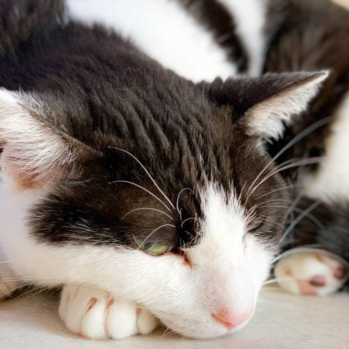 47155191 948f 4034 a460 c6d9a2b187a2 1592617457079