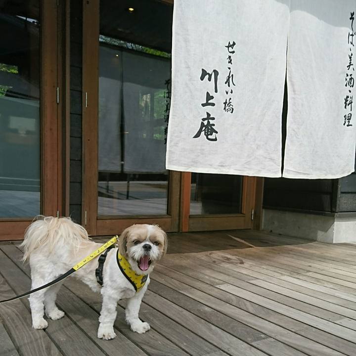 4715524d 6c36 443e b223 6115907c7e5d 1558157554306