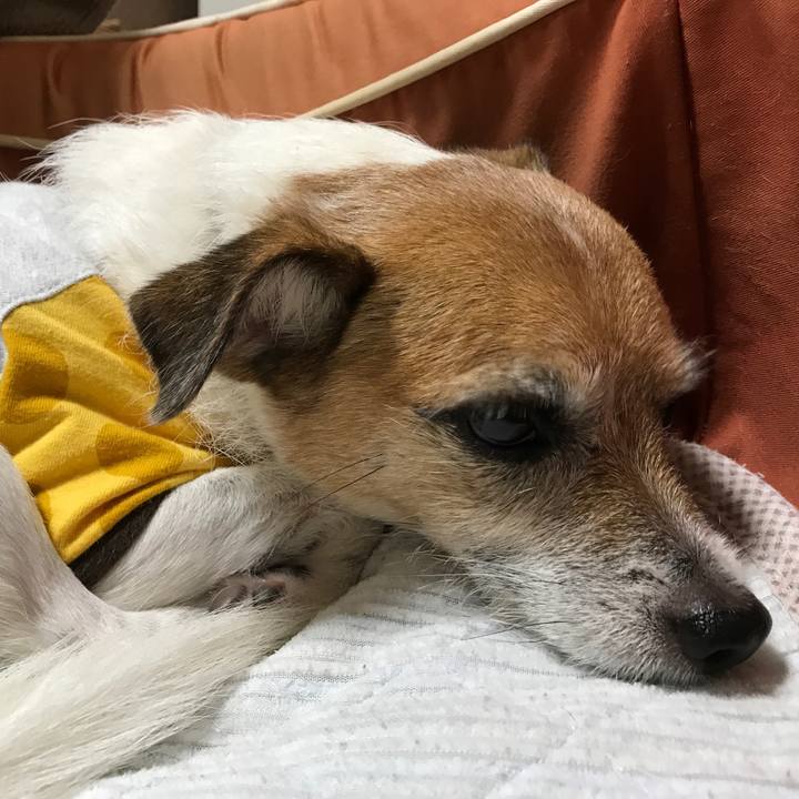 47157748 04f8 4663 8180 e16956c69c31 1571737208249