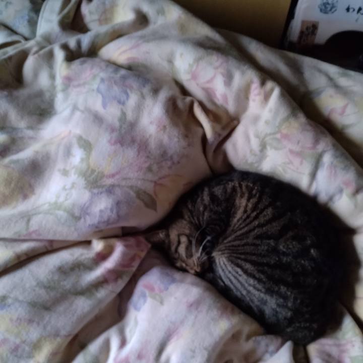 471579b6 91b8 47a8 984c 77d2a2849cad 1696805933655