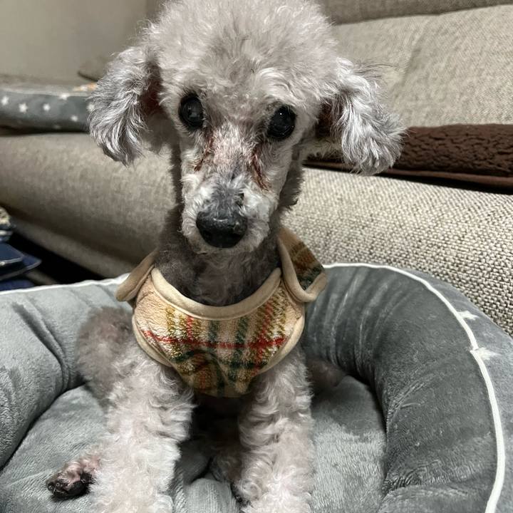 47157dd3 a5b3 474c 8bfd b8b02d51555f 1707909079887