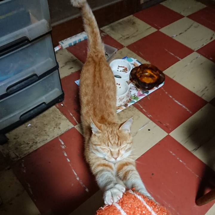 47160a59 82f0 49f4 b88a e530acdb21b5 1591644124679