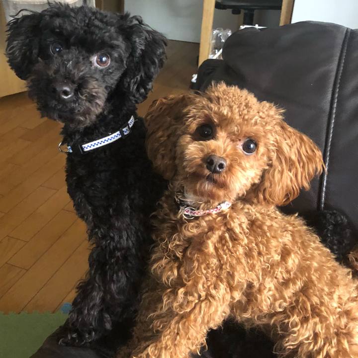 47161d90 0903 4ce2 a8ed 1e4e9f6af232 1517178738086