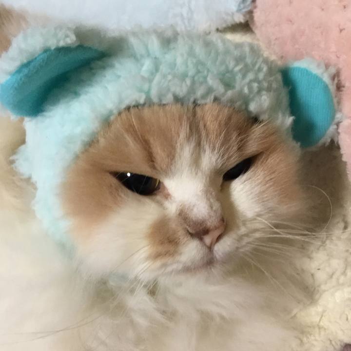 47166f45 d57b 4ccc 8a76 4da62c1b5576 1544359507265