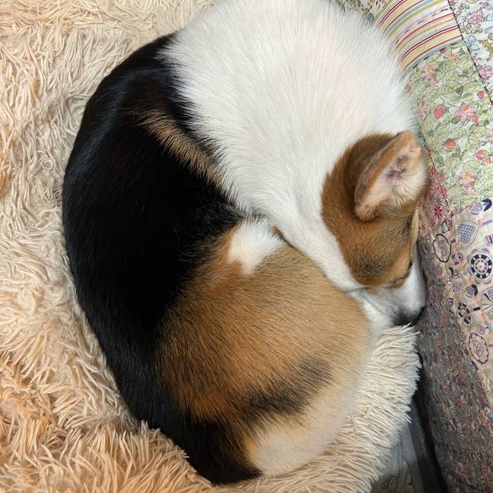 47167ec4 70d6 4465 ba61 32819c3b2842 1775314260975