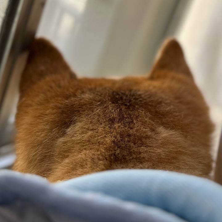 4716b6dd cd9c 4546 9690 3852d12af0f0 1758667257239