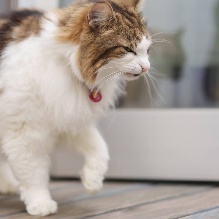 4716ccb9 50c2 4c4c 8a94 1b5f5b97af43 1730782028603