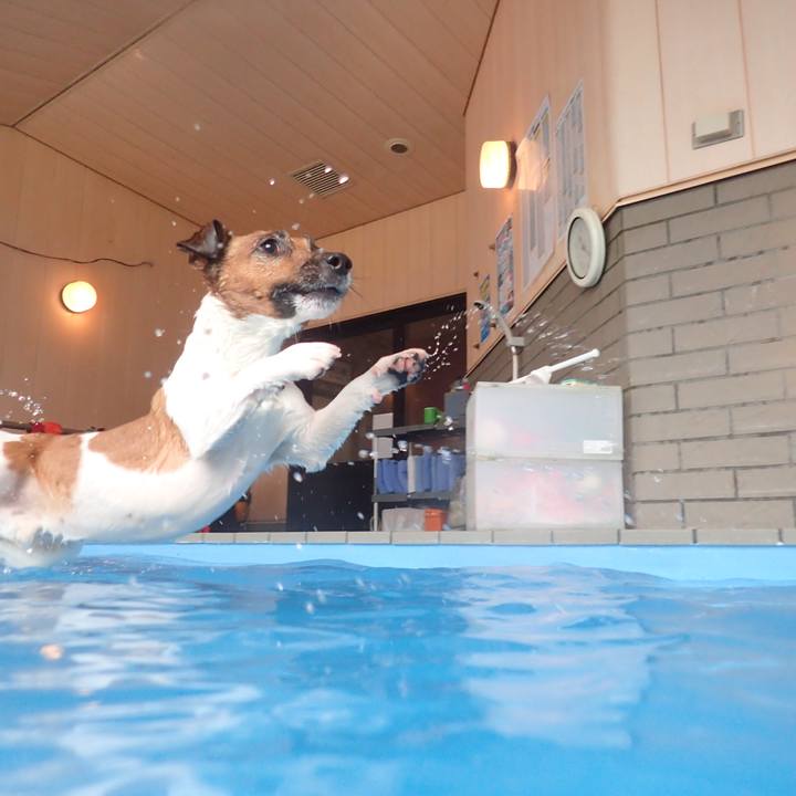 4716f3e3 6d82 46d4 8b69 a6994462889c 1523314224938