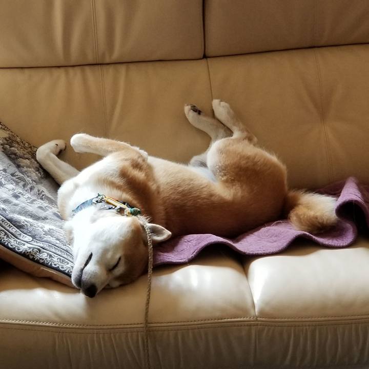 471708e4 1a5f 4edc b820 c8e5c2aee80d 1565145932929