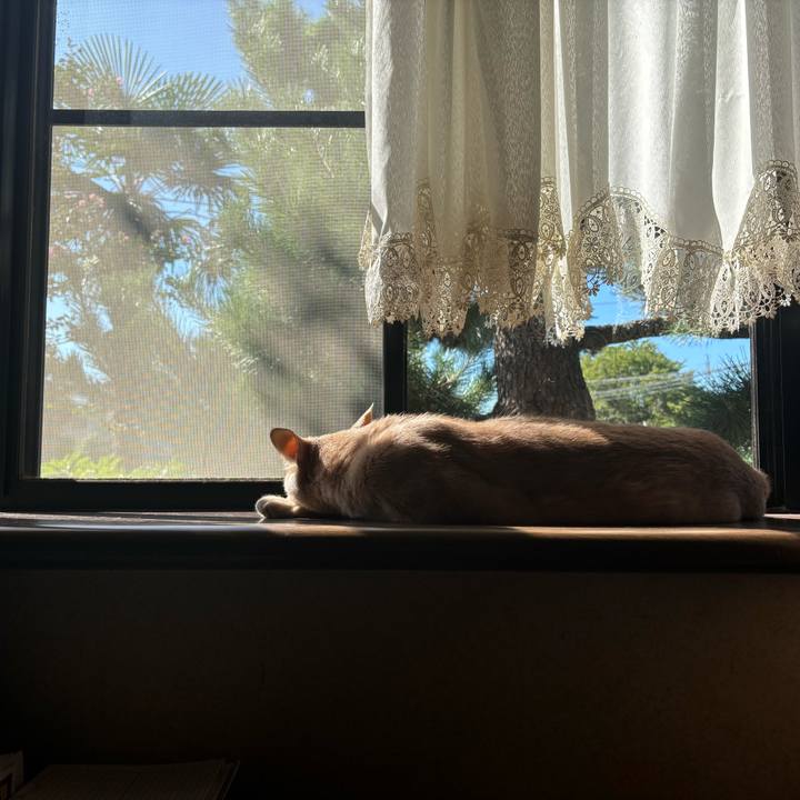 47172a43 142c 4907 8777 150e23896b7f 1727137561220