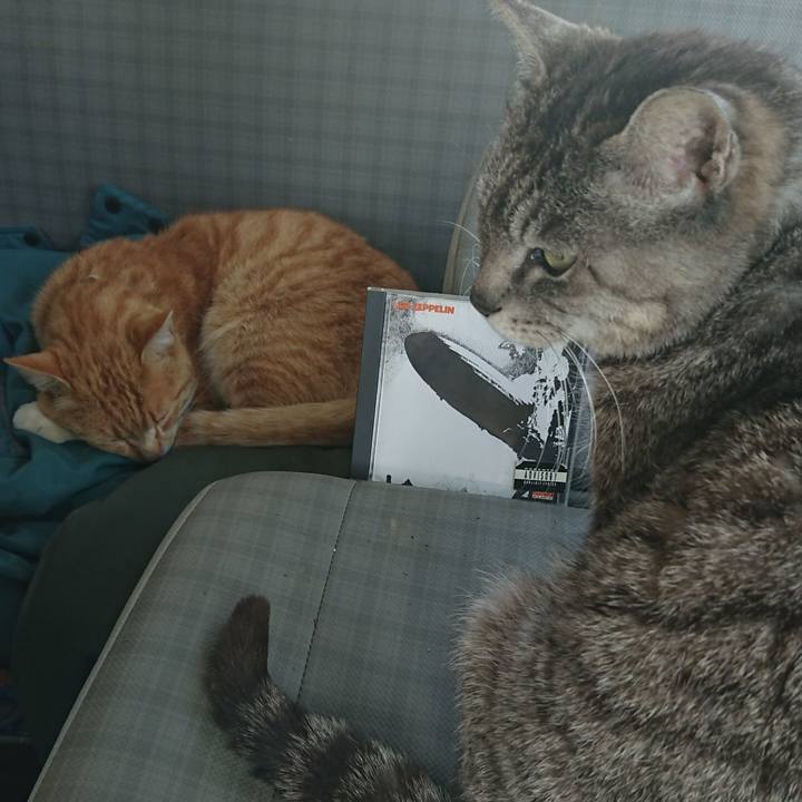 47174043 d9fa 484e 9e61 4f117085837b 1588661607987