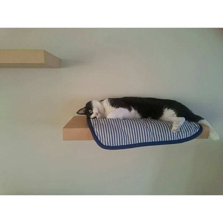 47175f6b 6b8e 4f73 bdc4 30b3e5e9681d 1565447748110