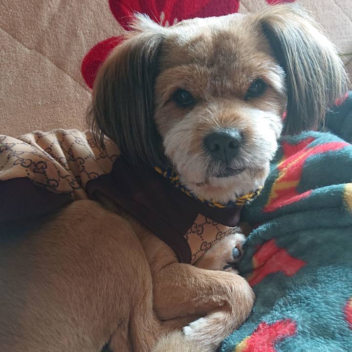 4717822b 7af9 4f22 a7f2 f98dffe62014 1544404387829