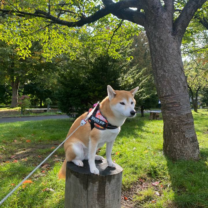 471784ba bd7a 43cf 9ffa 8af845bc00cb 1601858927444