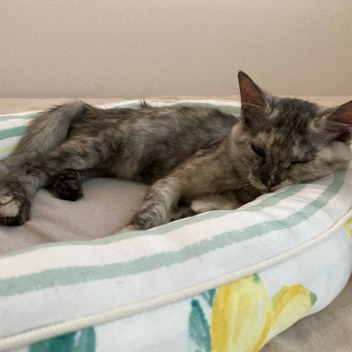 4717b653 dad0 44ad a84f ae3c1b16c306 1696289806152