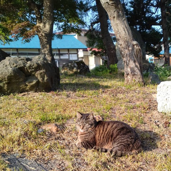 4717e98a 4a93 4050 b9ee 46309e5a8b46 1715381626281