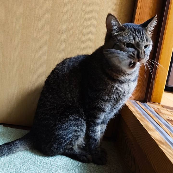 4717ecd4 8365 420f 827b 5a4d58f4d351 1769867391073