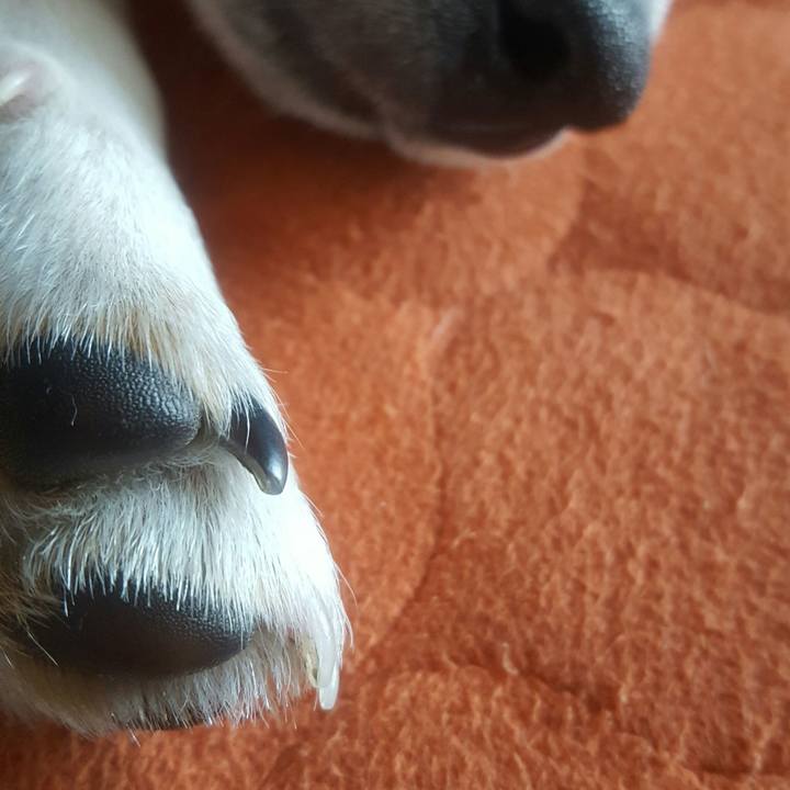 4717f740 b333 4fb1 8f05 5002a8469e7c 1553581430933