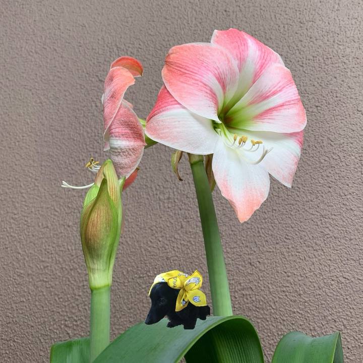 47185aed ab1d 44b6 8a4f ed4474ba8199 1715551165040