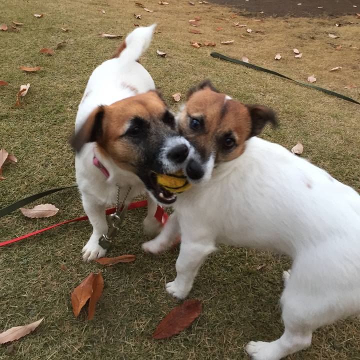 471873d3 21c1 4c57 b72a 42070d0df9fc 1512378149130