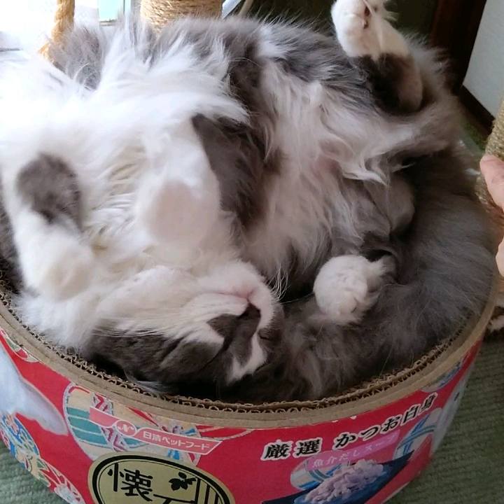 47187ed9 1db6 4a41 b2e7 3fb354ba1961 1596878260286