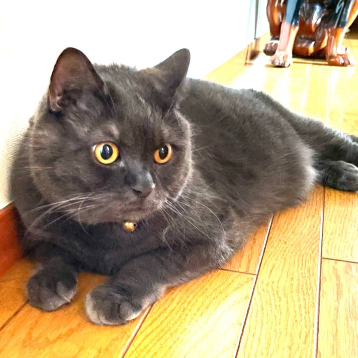 4718c21d 2ff4 4864 b37b b057ecf7dc2e 1756366162050