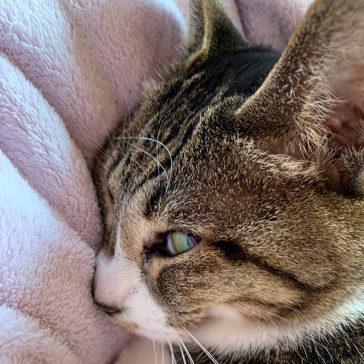 4718c348 1f9d 45e2 a2ec fb0951b306ef 1546478024547