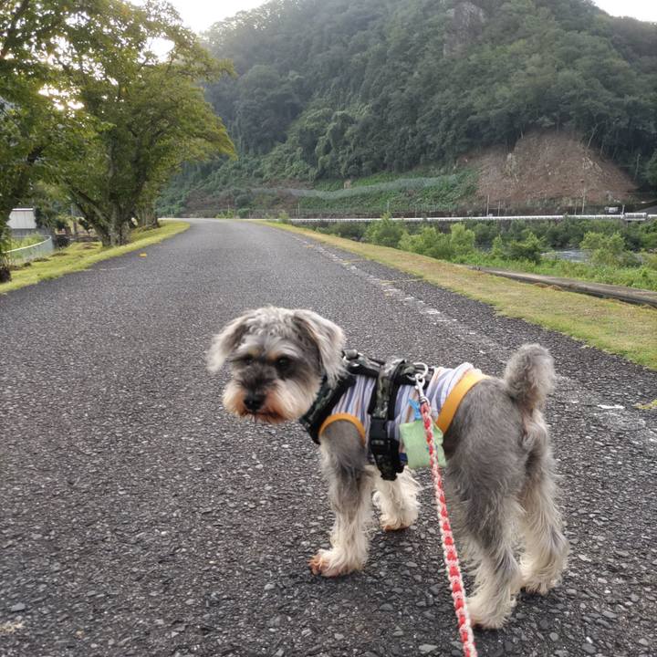 4718e8ec bd9b 4f7e bfce 6b7f17c9870b 1693257303166