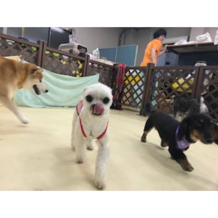 4718e9a4 21cc 4746 abfb 8667153715a4 1570532224276