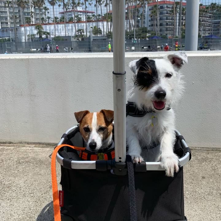 47191a31 e3e4 4ccf aa13 951bfe256958 1558838727473