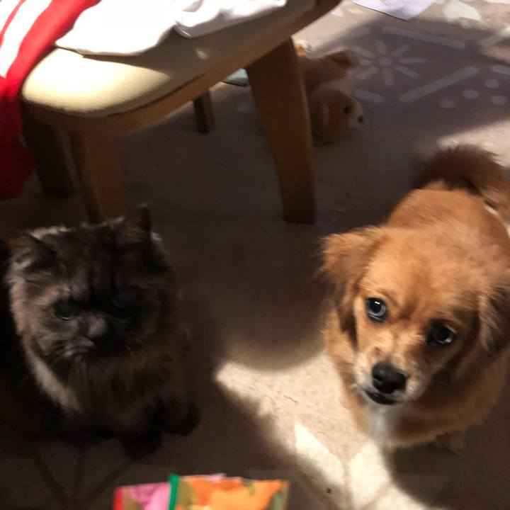 47195429 5c38 427a ac49 68d7f6bfa582 1508019732694