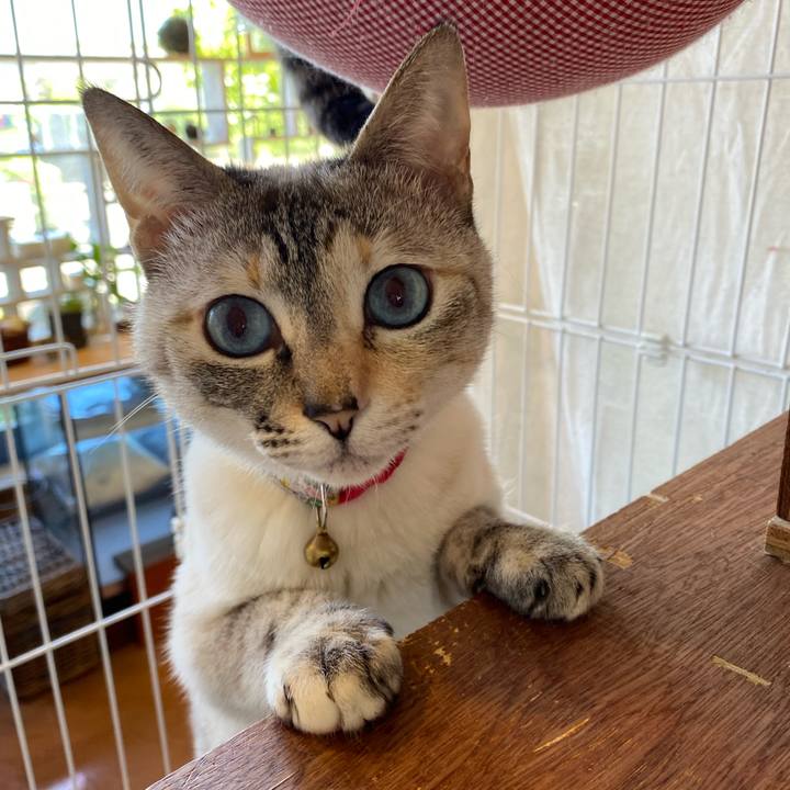 47195b06 22b6 4d26 bffd 7cc9ca42766e 1715831440832