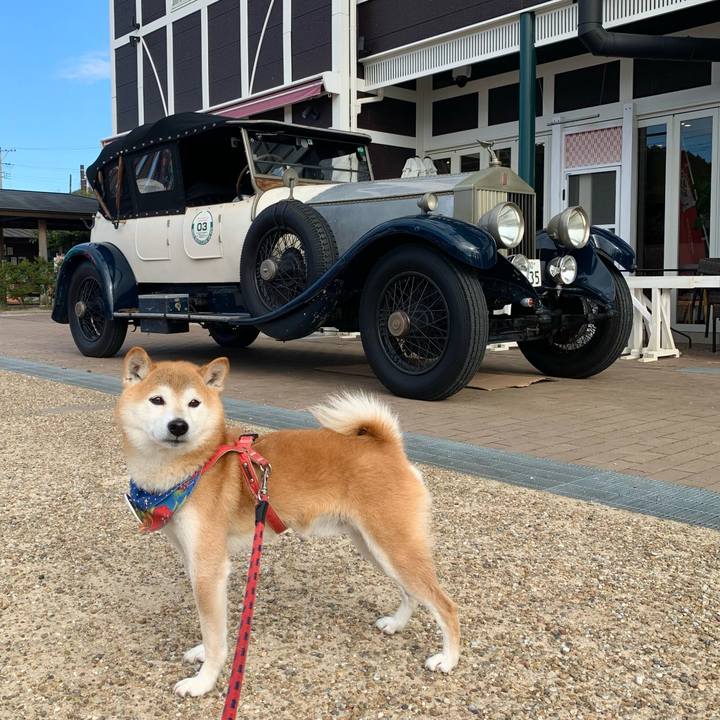 47195c82 6c26 4bbd 8b05 ac48892bc7f9 1638691725207