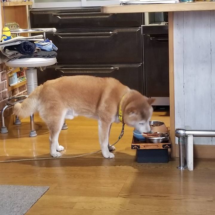 47196338 10eb 4eaf 8afb 1eec6ce4db3b 1692175403589