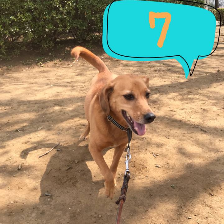 4719d22d c3e4 4ab7 b415 bab6edb6dca7 1556066647345