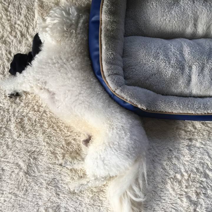 4719d67e 0fc2 4a5c b4ba 7d7725420c71 1544052910863