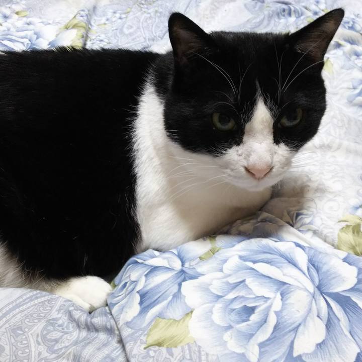 471a139b 8f56 4d8d ad8c 610ee18db9f5 1546897891618