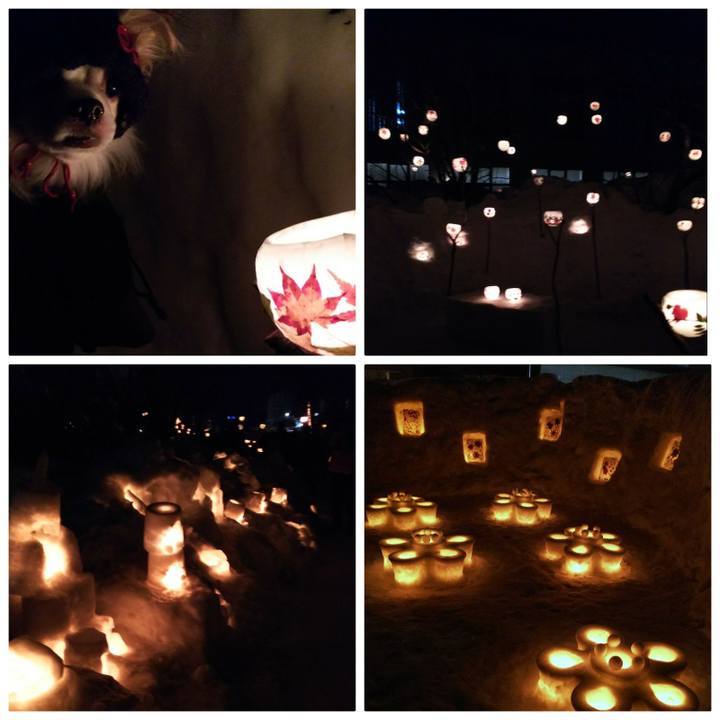 471a35a2 6755 4e79 b153 67fc7f7126c6 1518263556433