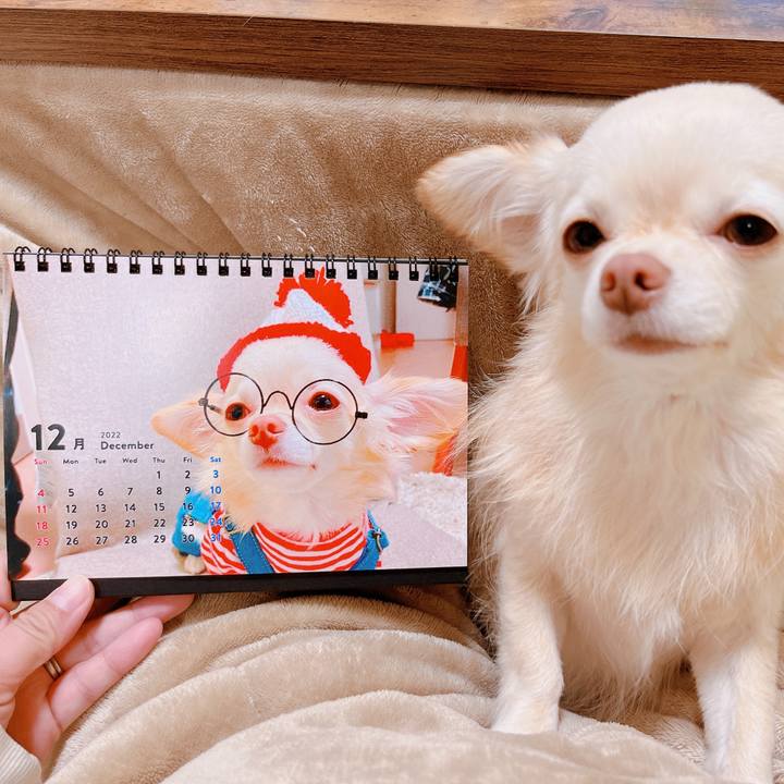 471a5d75 efcd 47f2 aee9 08a0e34512e1 1669896254274