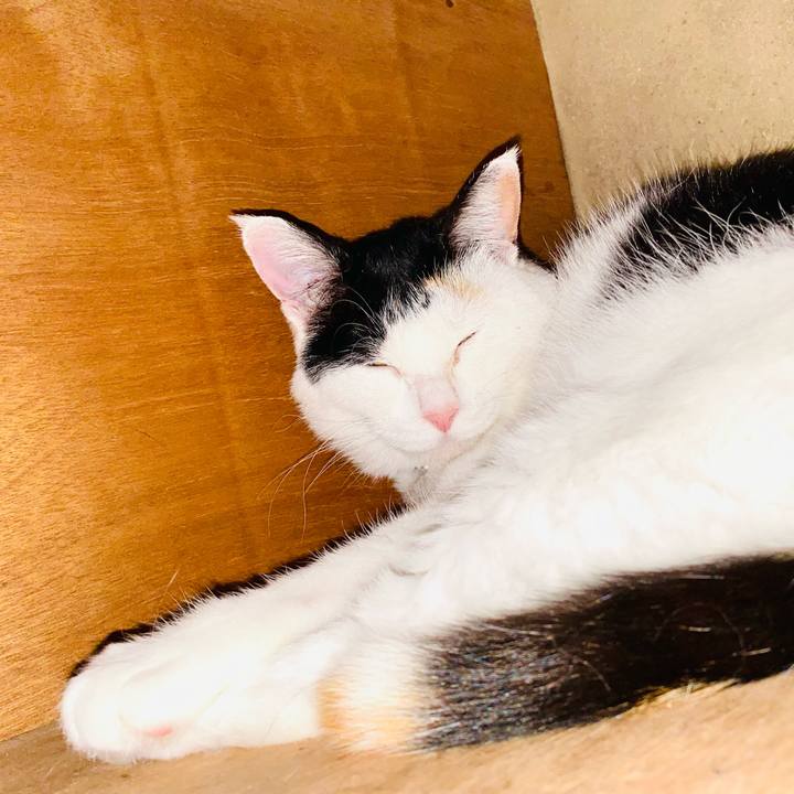 471ab2e5 aaee 46b4 9f8c 4a0cb0711fea 1685196195416