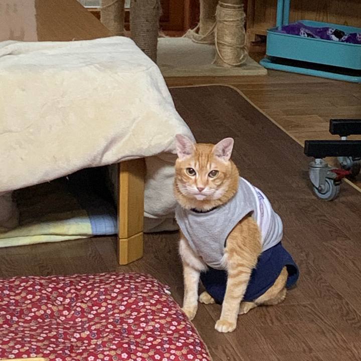 471ab8a9 1e04 45f7 aa03 8ea05a7930fa 1611117762284