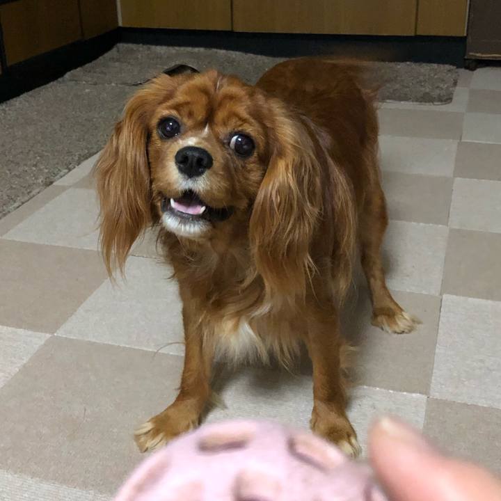 471ad968 047b 40e5 865f a3b4a8c00945 1555972436295