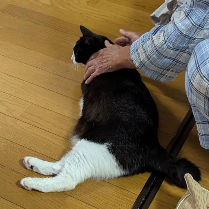 471ae096 5300 4649 b33b 5ce865a34711 1751499200234