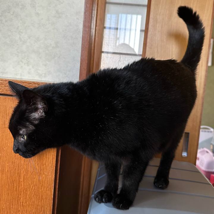 471ae70a 1319 4f88 8263 ca9ac7b86b87 1673829653547