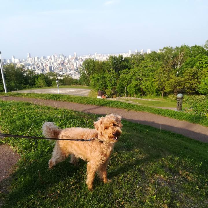 471b2feb 3995 42e7 84e2 012f427ed908 1528015041240