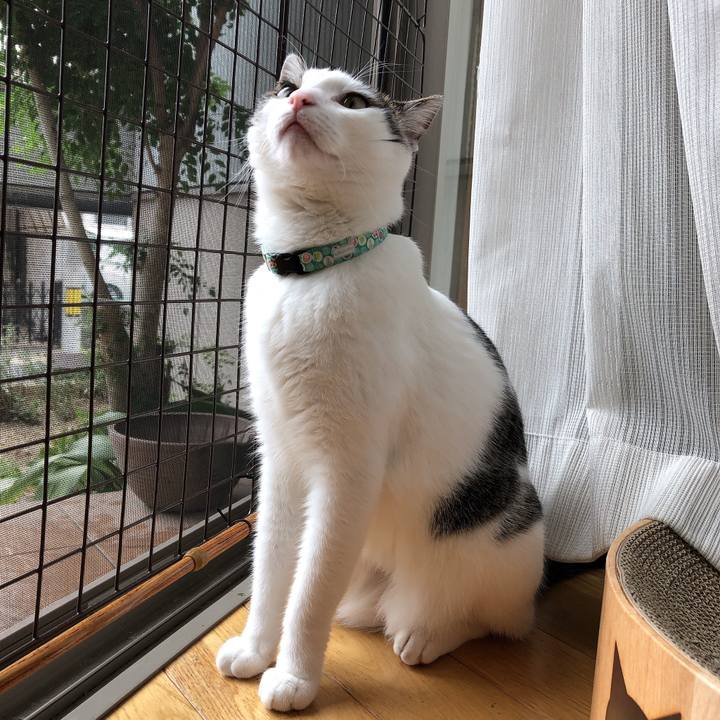 471b3b59 6900 4496 b944 d268abb03a11 1633926937984