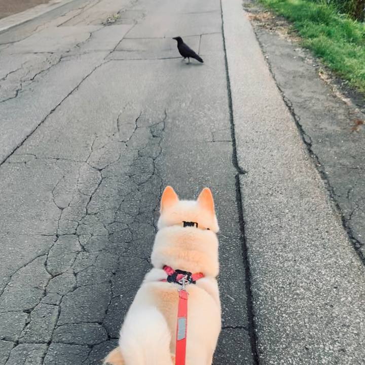 471b5a50 366d 4bc4 929b ba2c4ae89bed 1568323456869