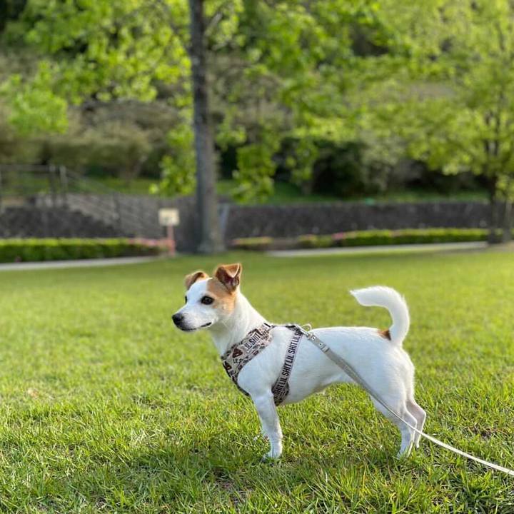 471b61bc 15c5 4336 a823 fe322b6c2690 1618393501718