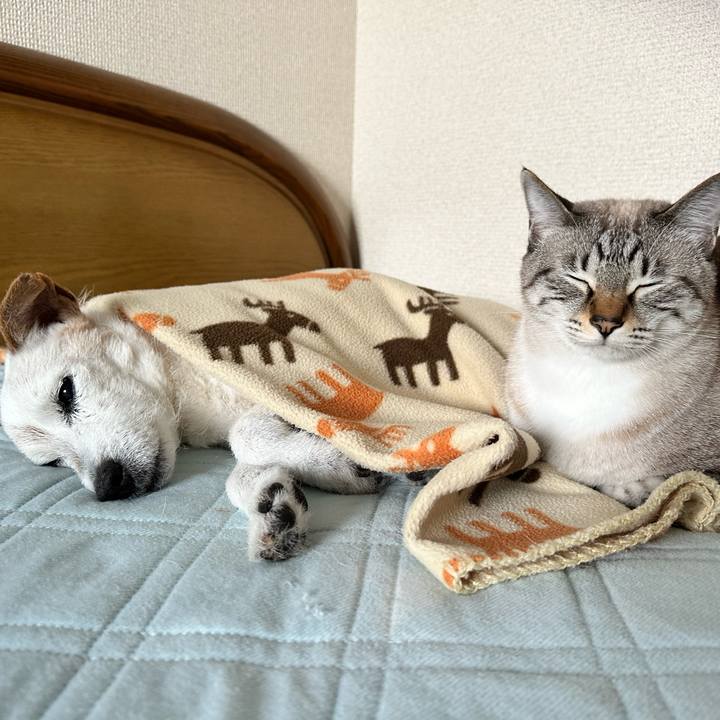 471b6a36 2b6a 40ab 870c bb7b01a9266e 1668055501344